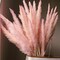 30Pcs 17 inch Natural Dried Pampas Grass Reed Flower Bouquet Home Decors